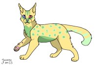 green and yellow kitty