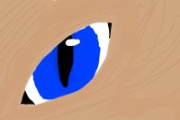 random cat eye