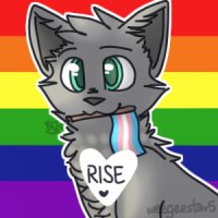 rise pride gift-lines