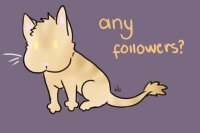 any followers? (ft my cat)