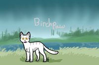 Birchpaw