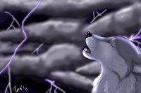 Howl To The Storm