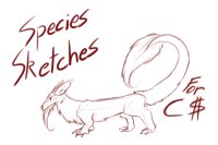 Species Sketches for C$ | Open