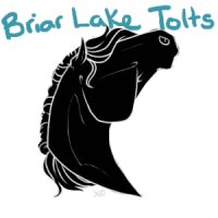 Briar Lake Tolts Icons