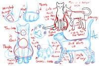 How to Draw a Cat + Toe Beans