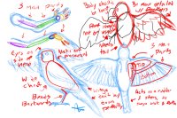 How to draw birds