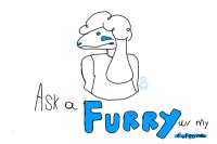 Ask a furry w/ my fursona