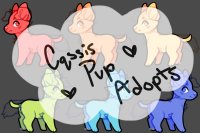 *Cqssis Pup Adopts*