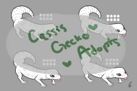 *Cqssis Gecko Adopts*