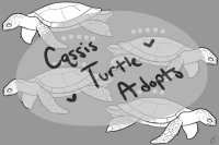*Cqssis Turtle Adopts*