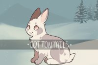 Cottontail Rabbit Rescue || Update pg. 14