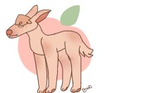 doodle dog #63 | peaches