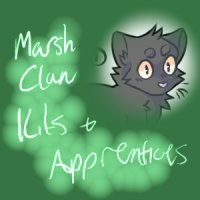 MarshClan kits+apprentices