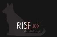 rise | 100 cats challenge