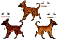 Senegal Hound Breeding Batch : 006-008