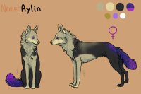 Aylin Reference
