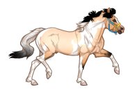 Ferox Welsh Pony #361 - Buckskin Roan Tobiano
