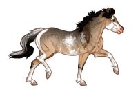Ferox Welsh Pony #373 - Sooty Dunskin Pinto Brindle