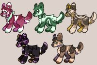 pup adoptables (all sold)