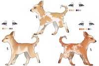 Senegal Hound Breeding: 051-053