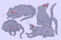 ugly rats time