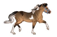 Ferox Welsh Pony #425 - Silver Sooty Buckskin Tobiano