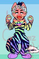 Rainbow Zebra - UFA