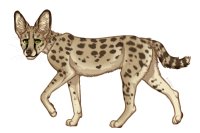 Servals of the Hidden Isle (Spring Event!)