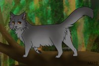 Finchflight- Medicine Cat