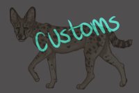 S.H.I. Customs [NO POSTING!]