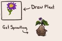 Mandrake Sproutling