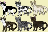 Warrior Cats Adopts 2C$ each?