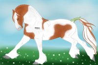 Horse adoptable 6