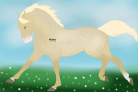 Horse adoptable 5