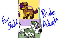 Canine Pride adopts 2/2 open