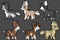 more adoptable puppers!