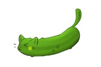 Pickle Cat