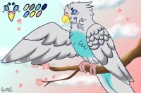 Peachie Parakeet #008