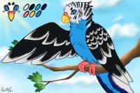 Peachie Parakeet #009