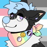 Asexual/Cupiosexual/Transgender/Demiboy pride