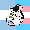 Trans mlm rights