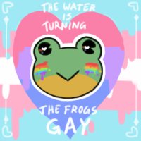 Gay Frog