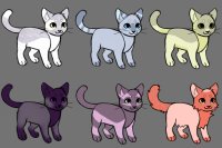 Kittens designs