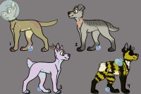 The Queen's Canine Adopts [CLOSED]