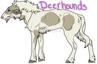 Deerhounds Official Thread