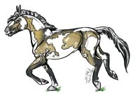 Horse Color-In