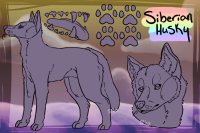 Siberian Husky Ref/Lines WIP