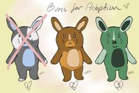Buns for Adoption! Two Left!