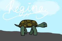 Regina the Tortoise