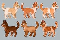 Kitty adopts - browns and reds